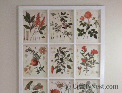 Window frame + free botanical illustrations = DIY art