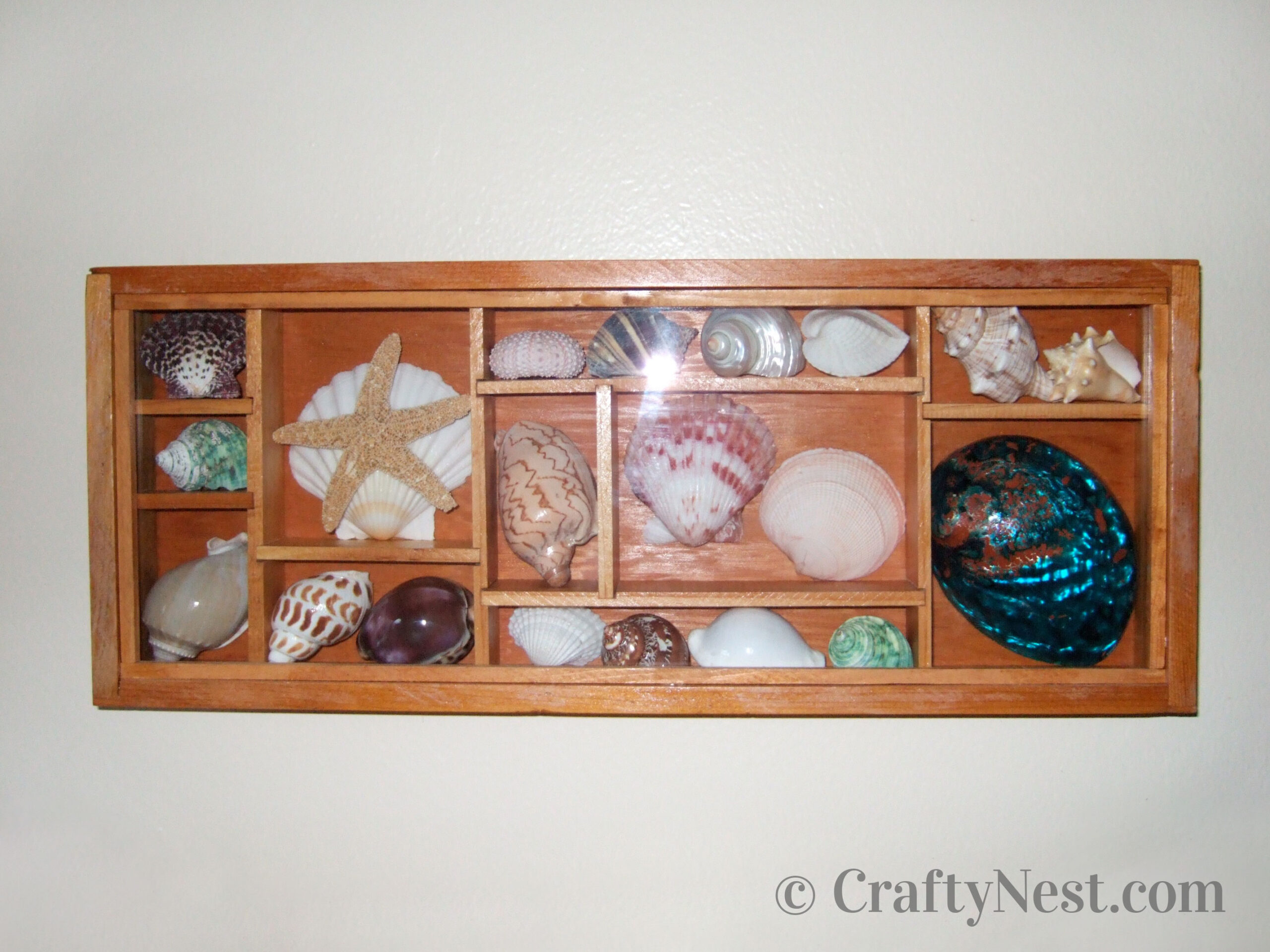 seashells-horizontal-bathroom-makeover-on-a-budget-crafty-nest Horizontal shadowbox with seashells, photo