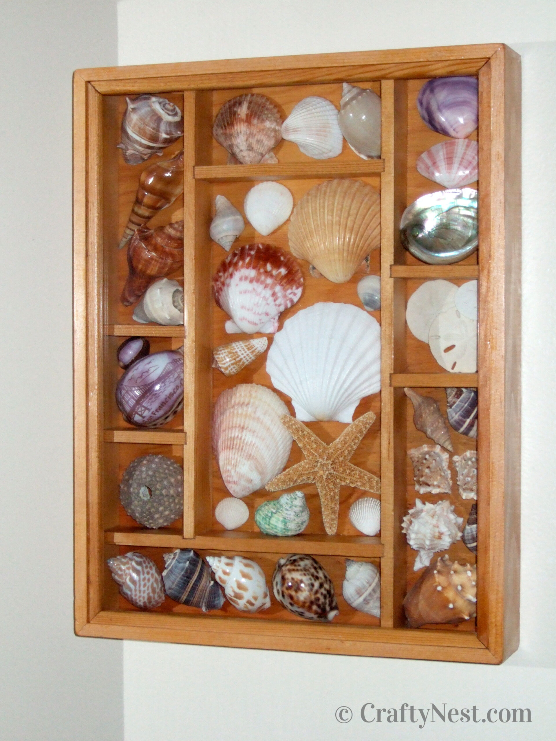 seashells-vertical-bathroom-makeover-on-a-budget-crafty-nest Vertical shadowbox with seashells, photo