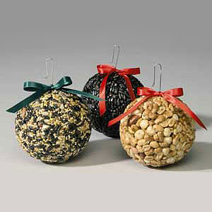 birdseedBalls Round birdseed balls, photo